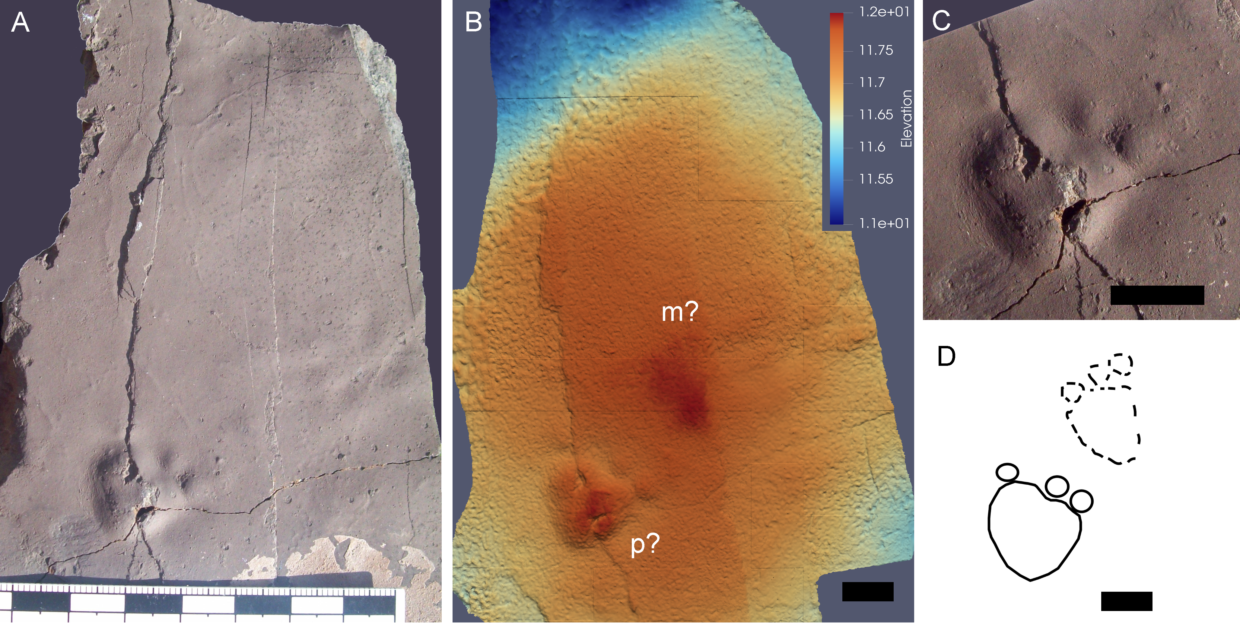 Three images of the track slab, showing different details including the toes.